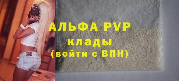 прущие грибы Дмитровск