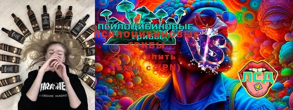 прущие грибы Дмитровск