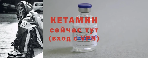прущие грибы Дмитровск