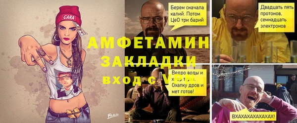 прущие грибы Дмитровск