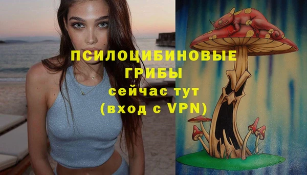 кристаллы Дмитров