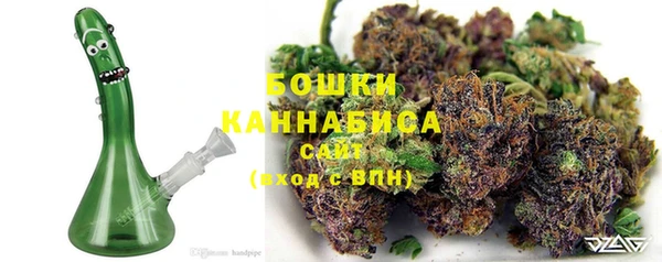 прущие грибы Дмитровск