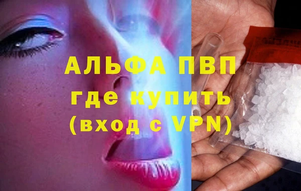 прущие грибы Дмитровск
