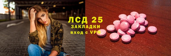 прущие грибы Дмитровск